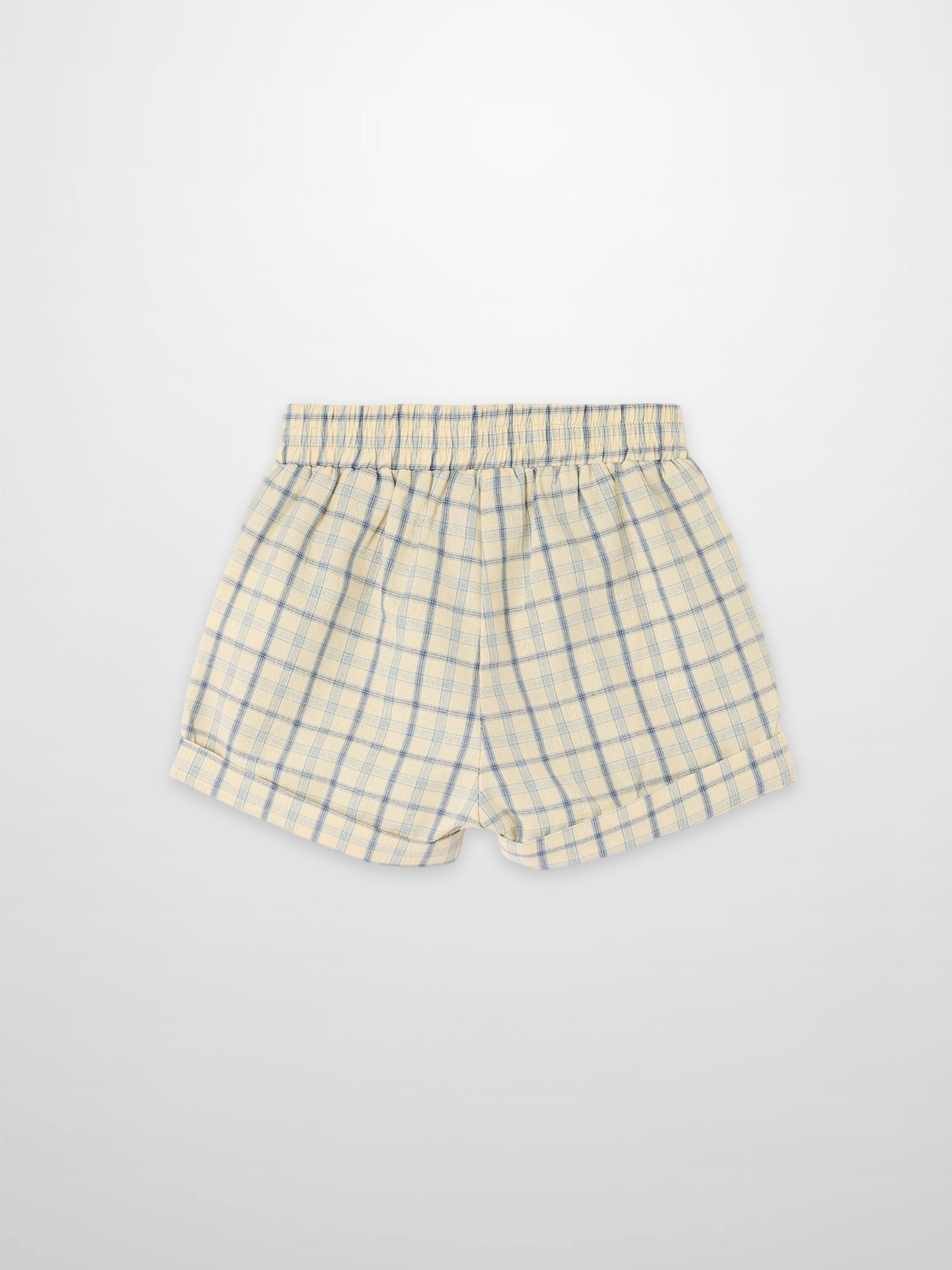Plaid Shorts