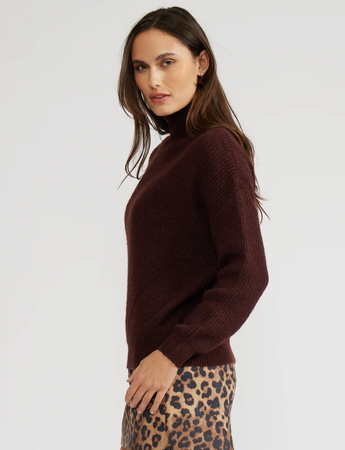 Axel Turtleneck Sweater, Brown