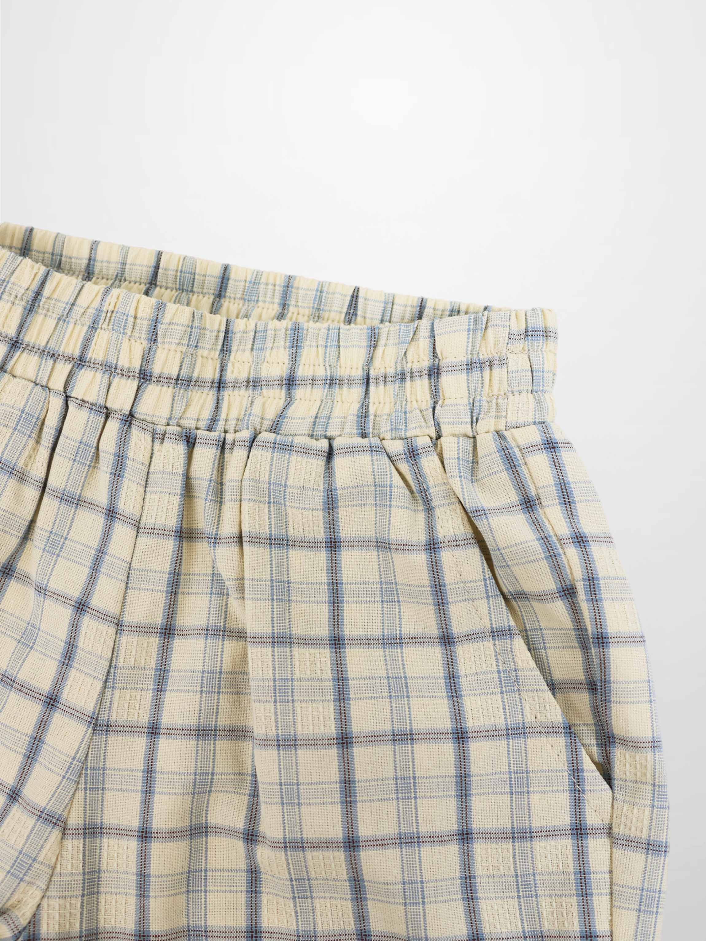 Plaid Shorts